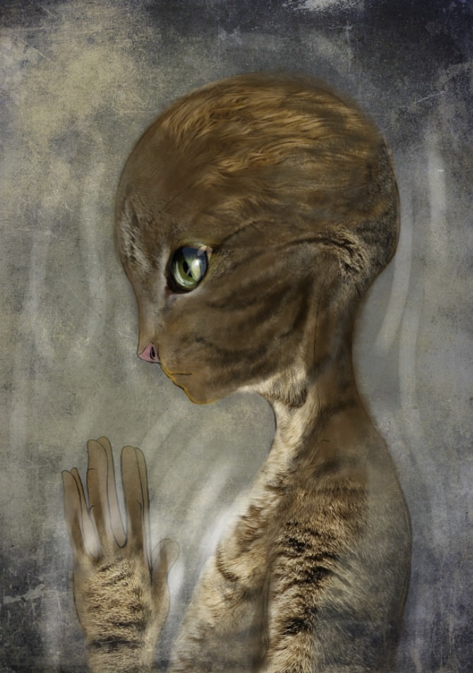 scetches by kaan - (1)