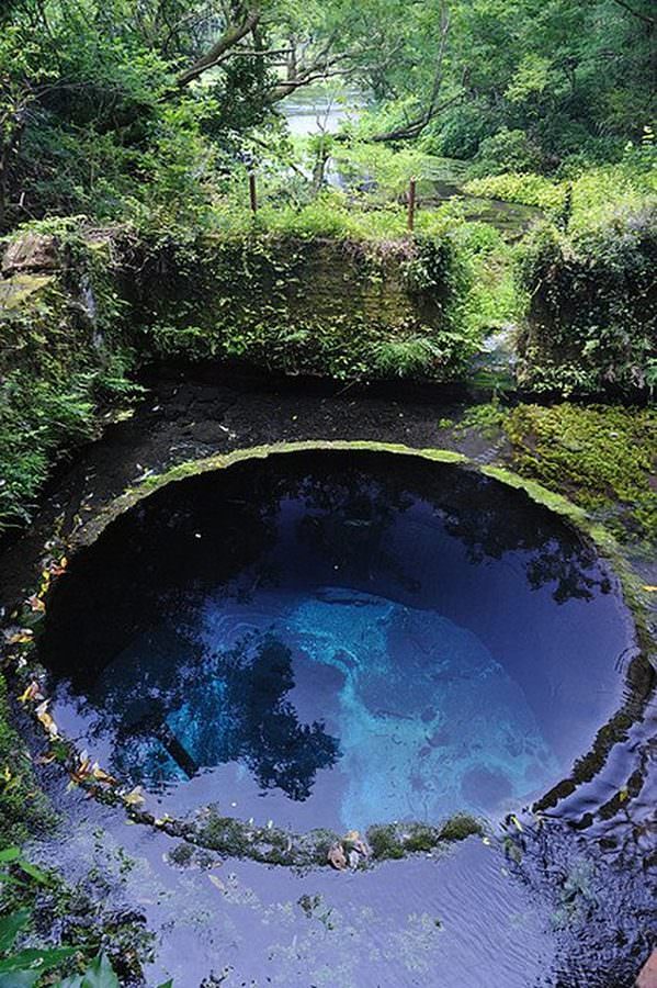 water hole portal