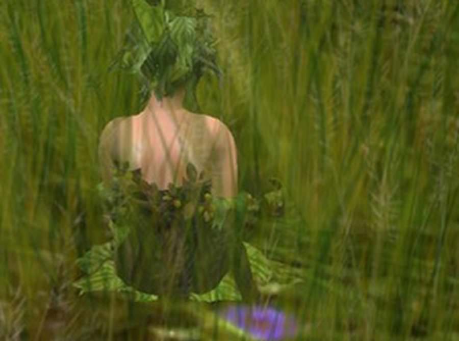 WILLO RAVENSWOOD ~ Tasmania, Australia~