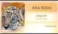 ?????????? :: Aha Kitini (Lyran) via Jaguar. Jul 9. 2014